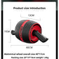 Self-Rebounding - Ab Roller Wheel - with Protective Knee Mat